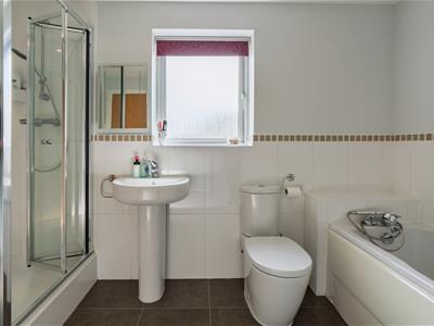 Picture 24